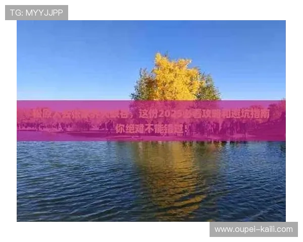 滚球是什么意思 彩票与数字高频玩法防骗避坑指南 滚球是什么意思 彩票与数字高频玩法防骗避坑指南